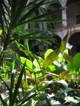 IMG_3742.JPG